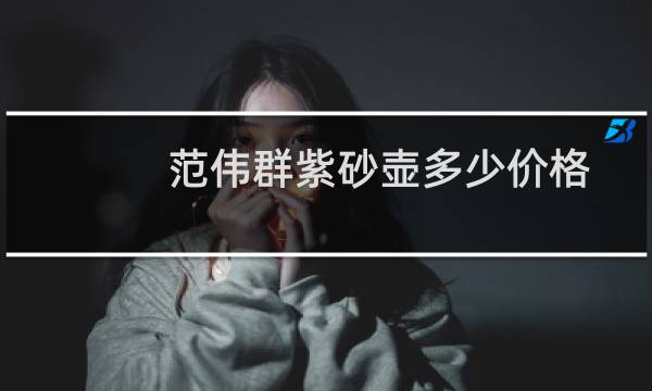 范伟群紫砂壶多少价格