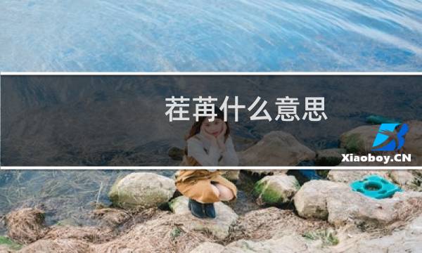 茬苒什么意思