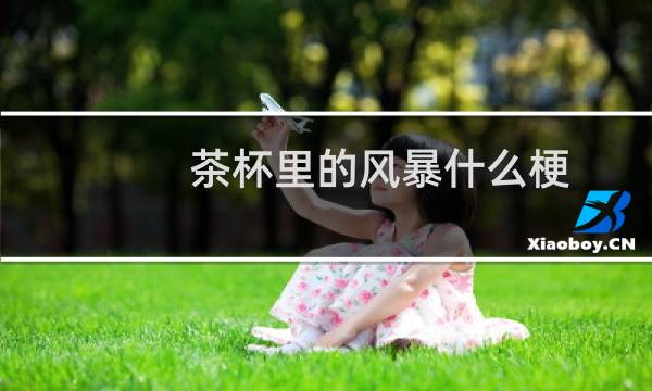 茶杯里的风暴什么梗？茶杯里的风暴是什么意思什么梗