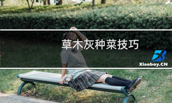 草木灰种菜技巧（如何用草木灰种菜）图片