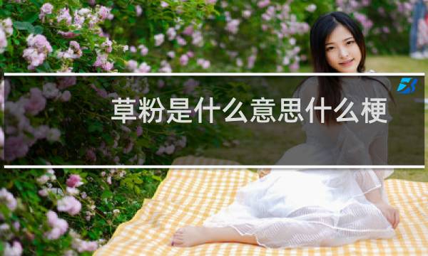 草粉是什么意思什么梗