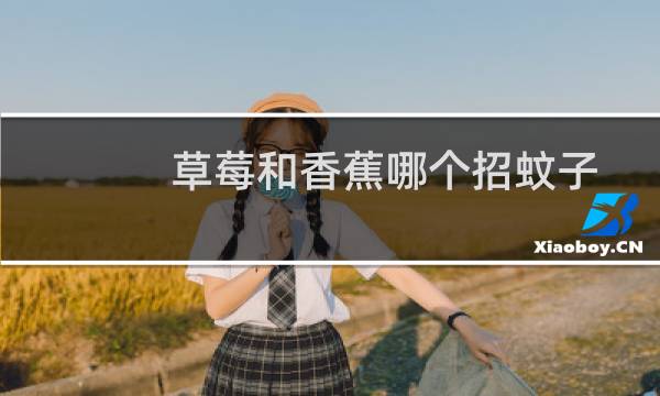 草莓和香蕉哪个招蚊子（草莓和香蕉的功效）图片