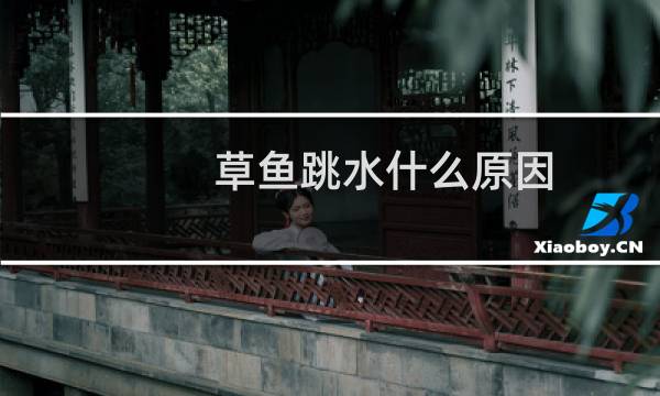 草鱼跳水什么原因