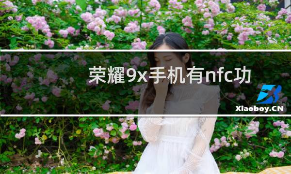 荣耀9x手机有nfc功能吗