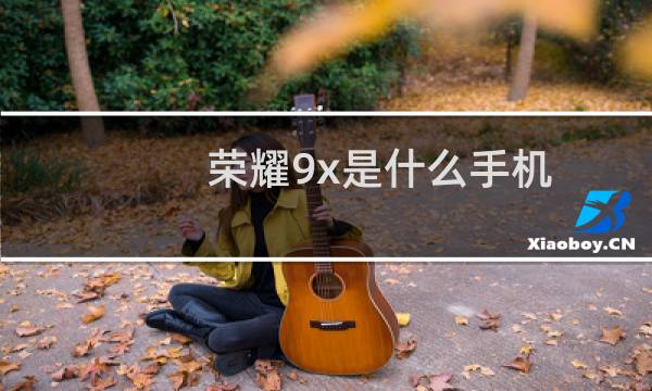 荣耀9x是什么手机