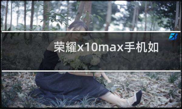 荣耀x10max手机如何