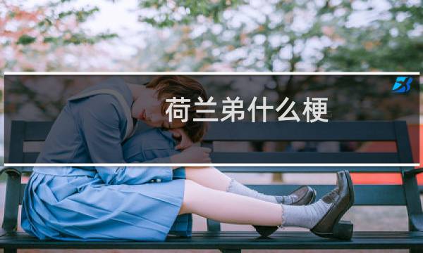 荷兰弟什么梗