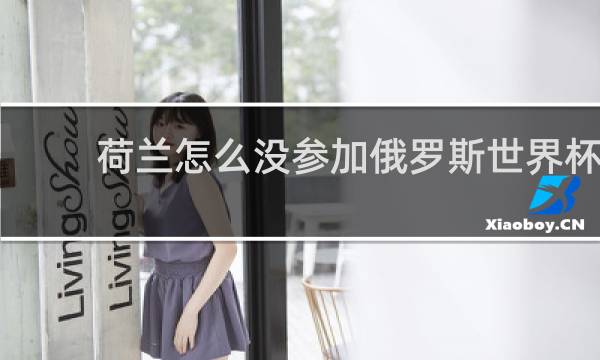 荷兰怎么没参加俄罗斯世界杯