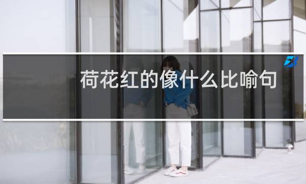 荷花红的像什么比喻句