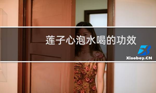 莲子心泡水喝的功效