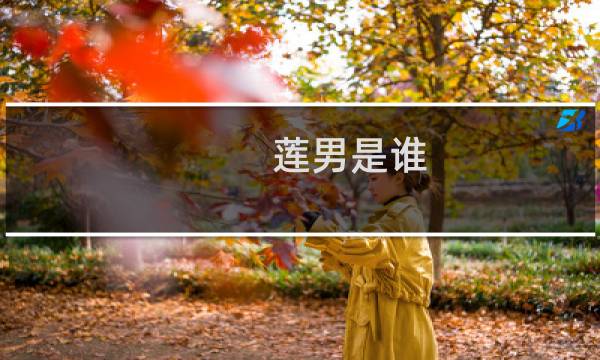 莲男是谁 meiko莲男什么梗