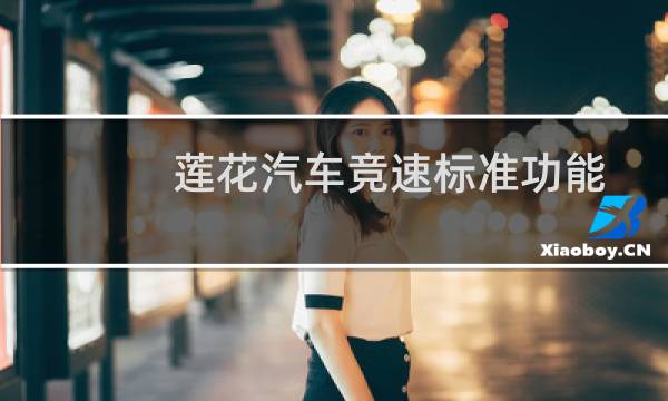 莲花汽车竞速标准功能如何图片