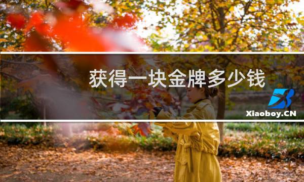 获得一块金牌多少钱