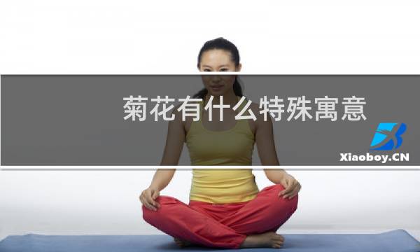 菊花有什么特殊寓意（菊花象征含义）图片