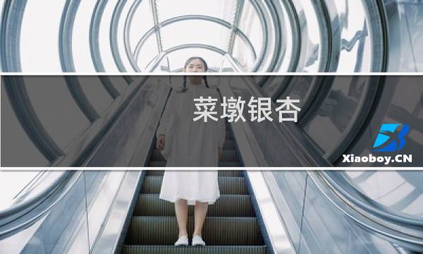 菜墩银杏