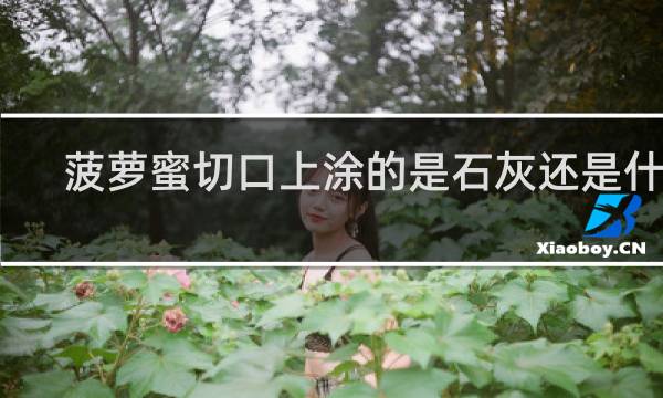 菠萝蜜切口上涂的是石灰还是什么