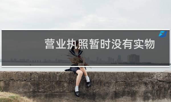 营业执照暂时没有实物,有彩色扫描件