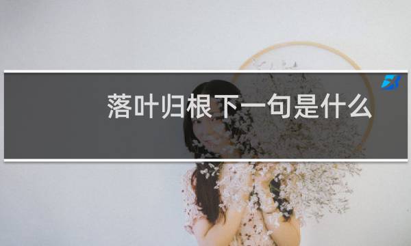 落叶归根下一句是什么