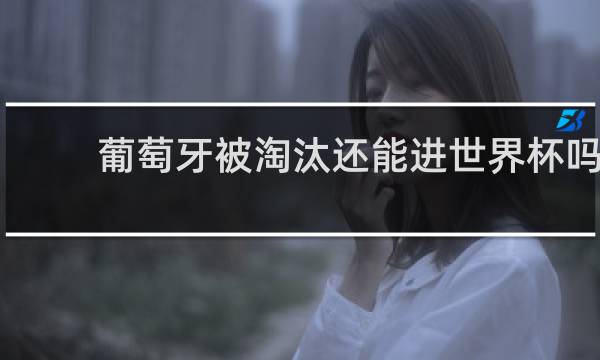 葡萄牙被淘汰还能进世界杯吗
