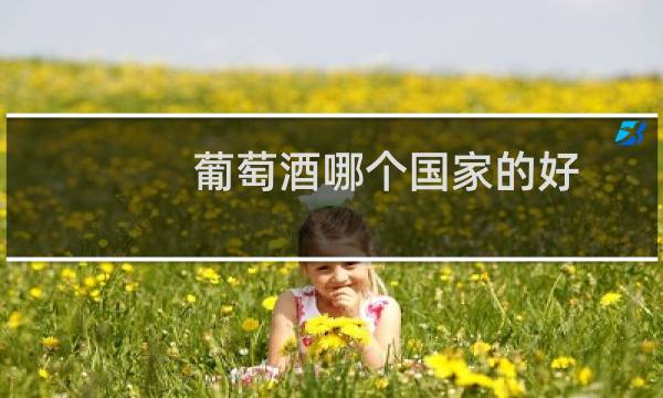 葡萄酒哪个国家的好图片