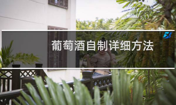 葡萄酒自制详细方法(超简单的家庭自酿葡萄酒方法分享)