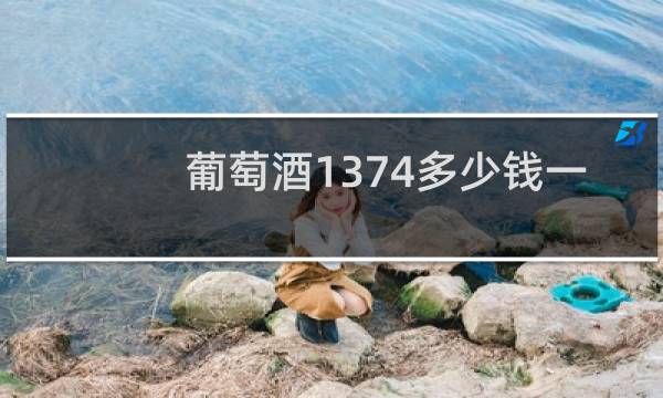 葡萄酒1374多少钱一瓶
