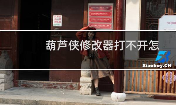 葫芦侠修改器打不开怎么办?