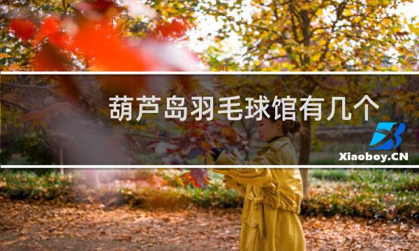 葫芦岛羽毛球馆有几个