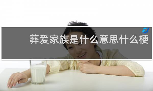 葬爱家族是什么意思什么梗