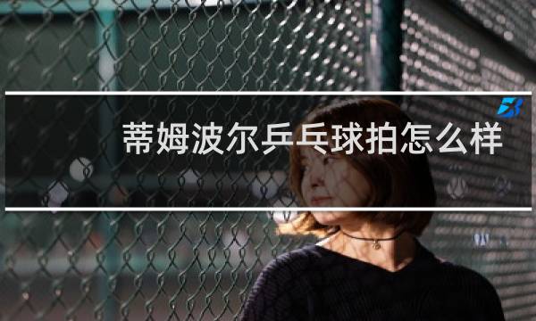 蒂姆波尔乒乓球拍怎么样