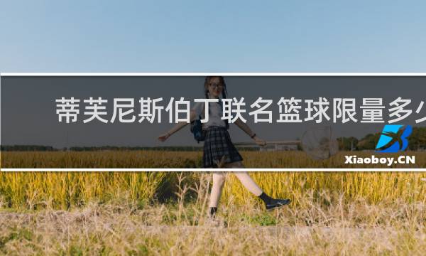 蒂芙尼斯伯丁联名篮球限量多少