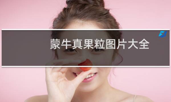 蒙牛真果粒图片大全（蒙牛真果粒有问题吗）图片