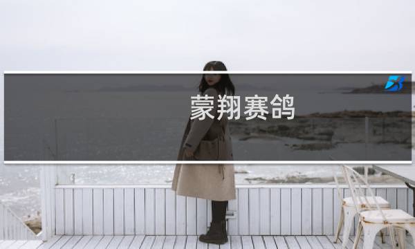 蒙翔赛鸽