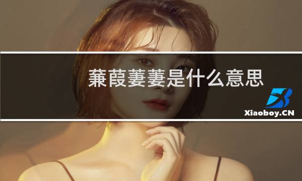 蒹葭萋萋是什么意思（蒹葭萋萋什么意思）