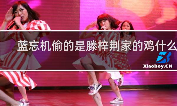 蓝忘机偷的是滕梓荆家的鸡什么梗？蓝忘机偷的是滕梓荆家的鸡是什么意思什么梗