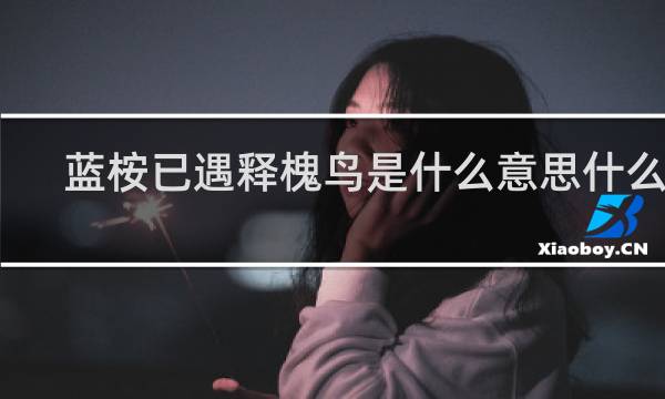 蓝桉已遇释槐鸟是什么意思什么梗