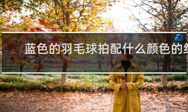 蓝色的羽毛球拍配什么颜色的线好看