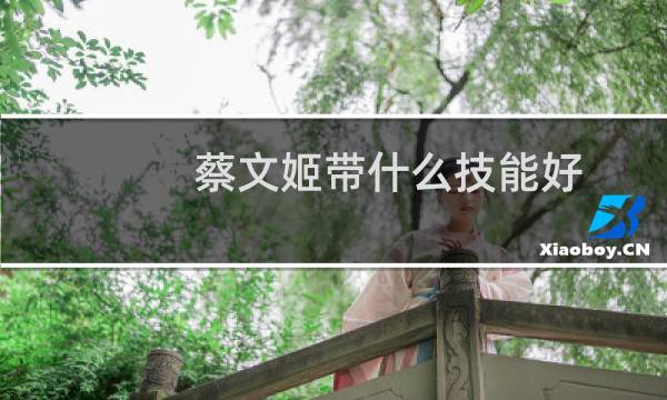 蔡文姬带什么技能好（蔡文姬带什么技能）图片