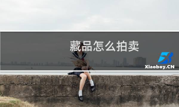 藏品怎么拍卖