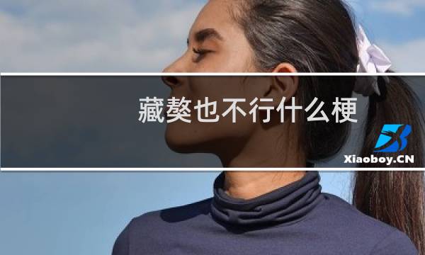藏獒也不行什么梗