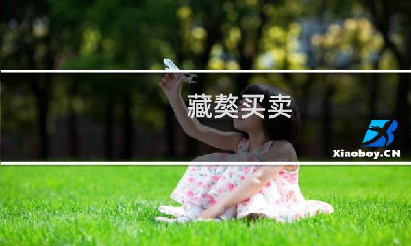 藏獒买卖