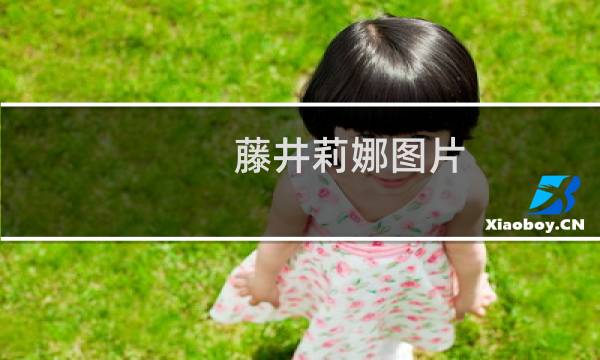 藤井莉娜图片图片