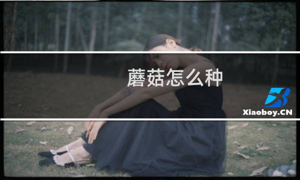 蘑菇怎么种