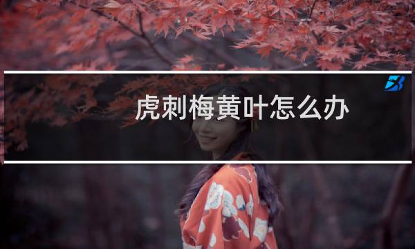 虎刺梅黄叶怎么办