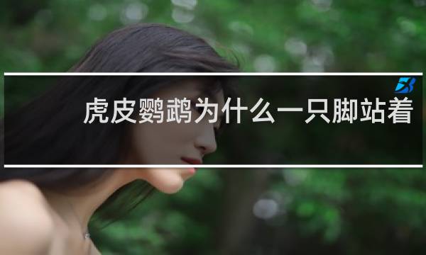虎皮鹦鹉为什么一只脚站着