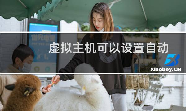 虚拟主机可以设置自动任务计划吗