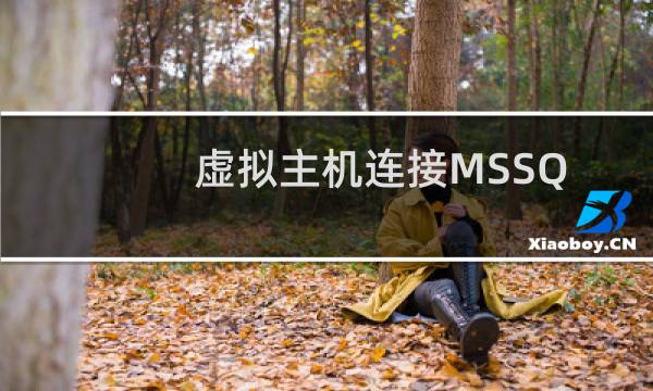 虚拟主机连接MSSQL问题