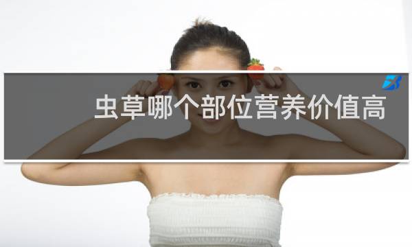 虫草哪个部位营养价值高