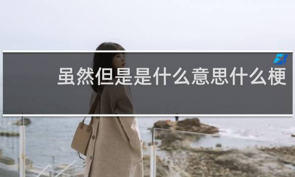 虽然但是是什么意思什么梗