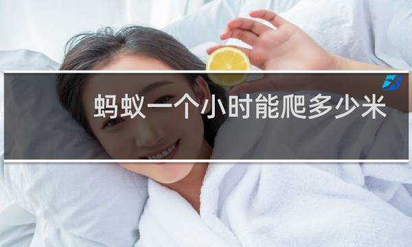 蚂蚁一个小时能爬多少米